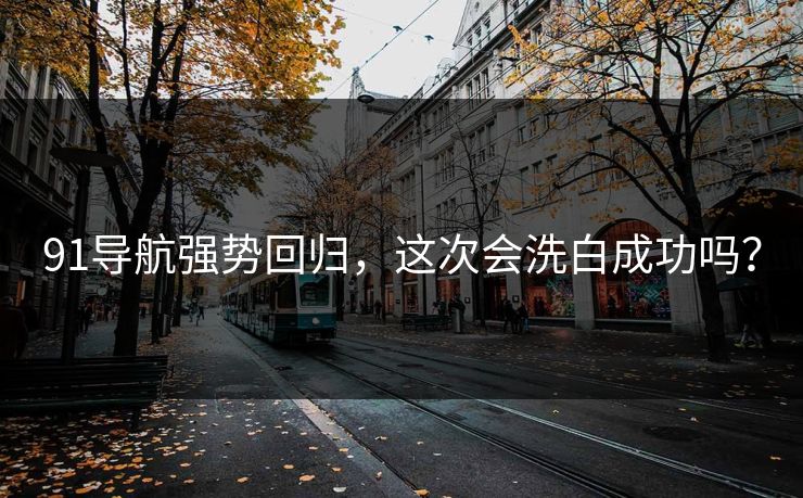 91导航强势回归，这次会洗白成功吗？