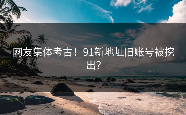 网友集体考古！91新地址旧账号被挖出？