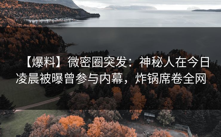 【爆料】微密圈突发：神秘人在今日凌晨被曝曾参与内幕，炸锅席卷全网