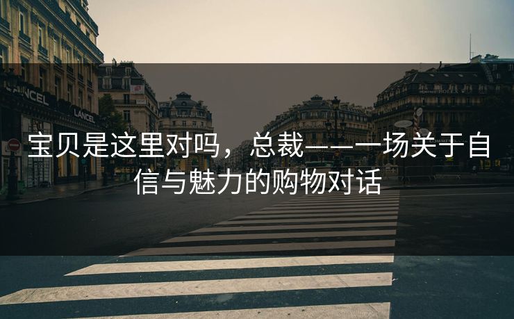 宝贝是这里对吗，总裁——一场关于自信与魅力的购物对话