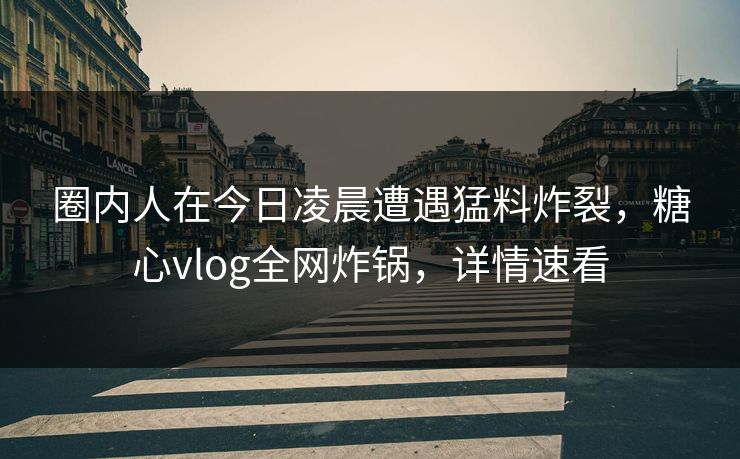 圈内人在今日凌晨遭遇猛料炸裂，糖心vlog全网炸锅，详情速看