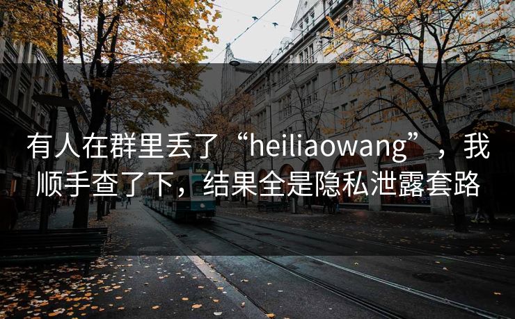 有人在群里丢了“heiliaowang”，我顺手查了下，结果全是隐私泄露套路